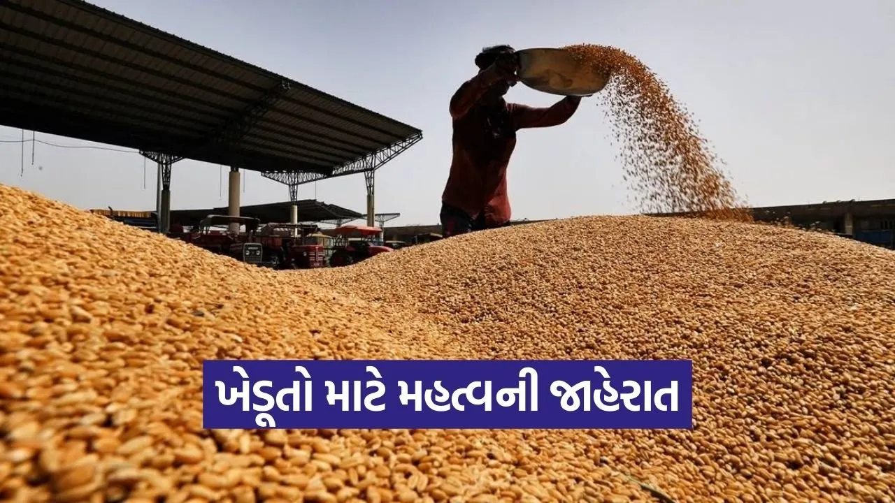 Gujarat Wheat MSP Registration 2026 1.jpg
