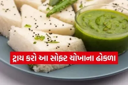rice dhokla