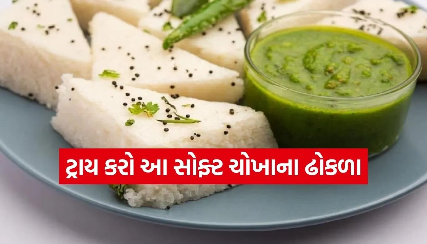 rice dhokla