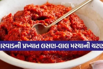 Garlic Red Chilli Chutney