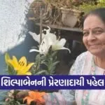 Vadodara Woman Bird Friendly Garden Inspiration 1
