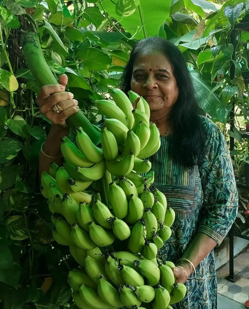પર્યાવરણ પ્રત્યેની લાગણી સાથે શિલ્પાબેનનું ગાર્ડન બન્યું પક્ષીઓ અને પ્રાણીઓ માટે નાનકડું ઉપવન 3 Vadodara Woman Bird Friendly Garden Inspiration 1.png