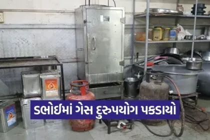 Dabhoi Domestic Gas Misuse Action Vadodara
