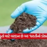 soil
