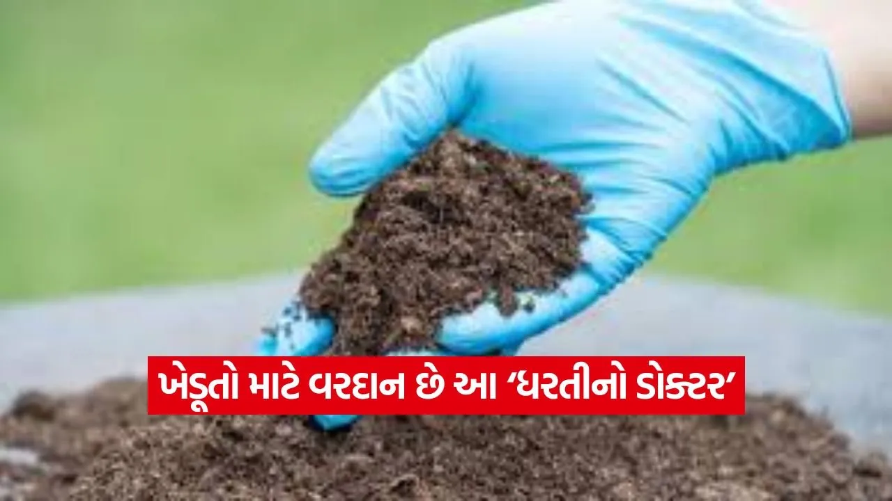soil.jpg
