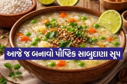 Sabudana Soup
