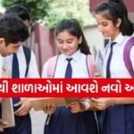 School Syllabus
