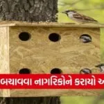 World Sparrow Day Vadodara Bird Conservation Awareness