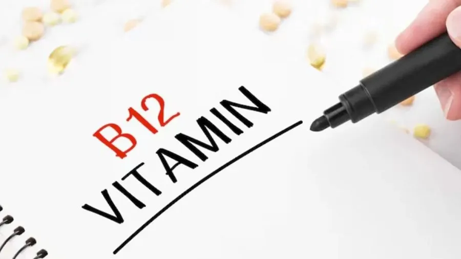 શું તમારા શરીરમાં વિટામિન B12 ની કમી છે? આ રહી એક ચમત્કારી પીળી વસ્તુ જે શાકાહારીઓ માટે વરદાન સાબિત થશે 2 b124.jpg