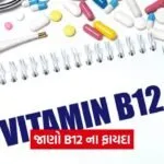 dharmishtha 1 2026 03 18T160341.144