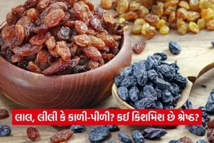 dharmishtha 1 2026 03 18T161852.074