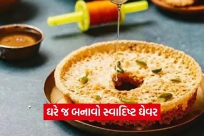 dharmishtha 1 2026 03 18T162959.364