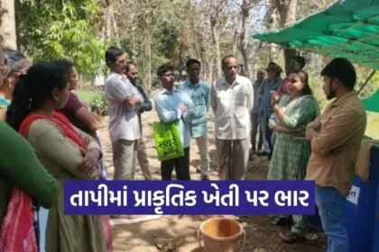 Tapi Natural Farming Training Farmers 1