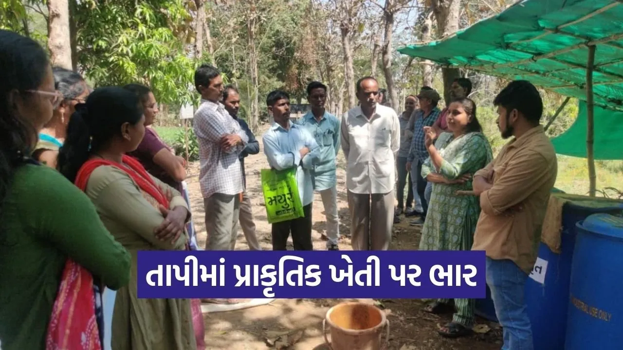 Tapi Natural Farming Training Farmers 1.jpg