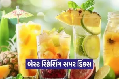 dharmishtha 1 2026 03 18T165847.881