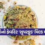 Masala Milk Powder