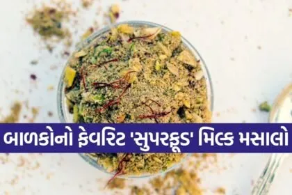 Masala Milk Powder