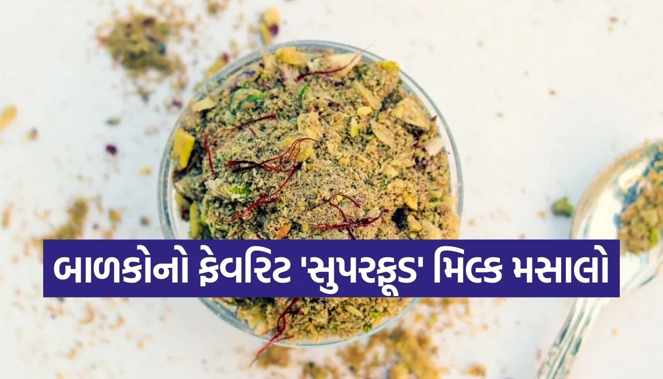 Masala Milk Powder