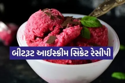 Beetroot Ice Cream 1803