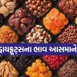 dry fruits 1803