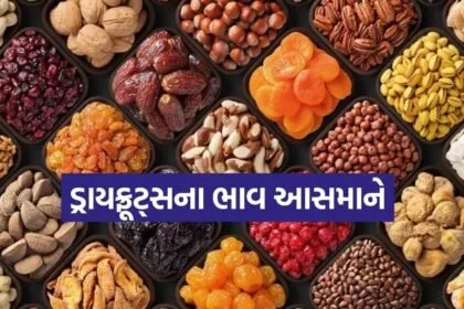 dry fruits 1803