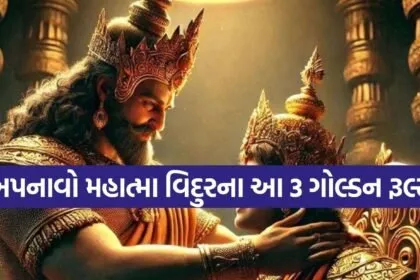 Vidur Niti