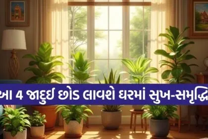 Vastu plants for home