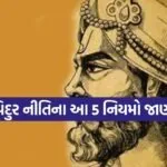 Vidur Niti