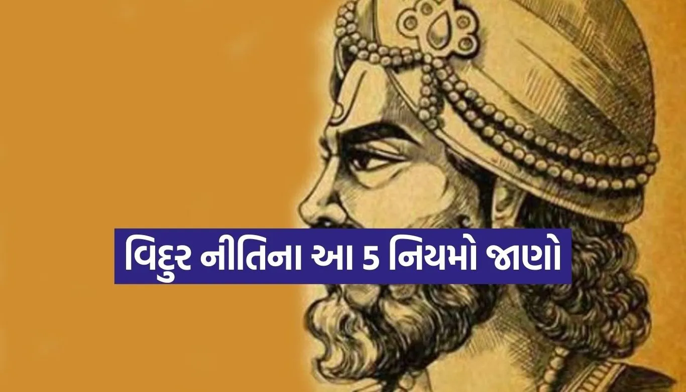 Vidur Niti