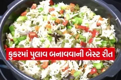 Cooker Pulao