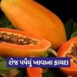dharmishtha 1 19