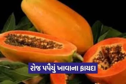 dharmishtha 1 19
