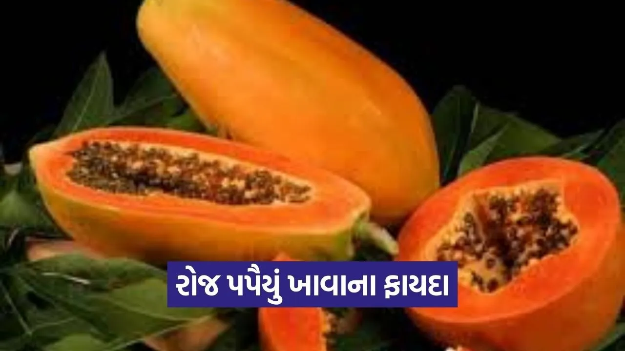 dharmishtha 1 19.jpg