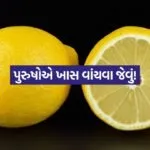 INDIA 1 2026 03 19T195649.831