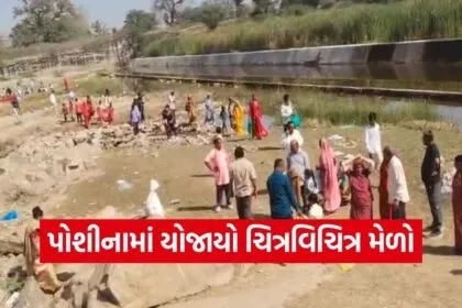 Chitri Vichitra Fair Sabarkantha 2026 1
