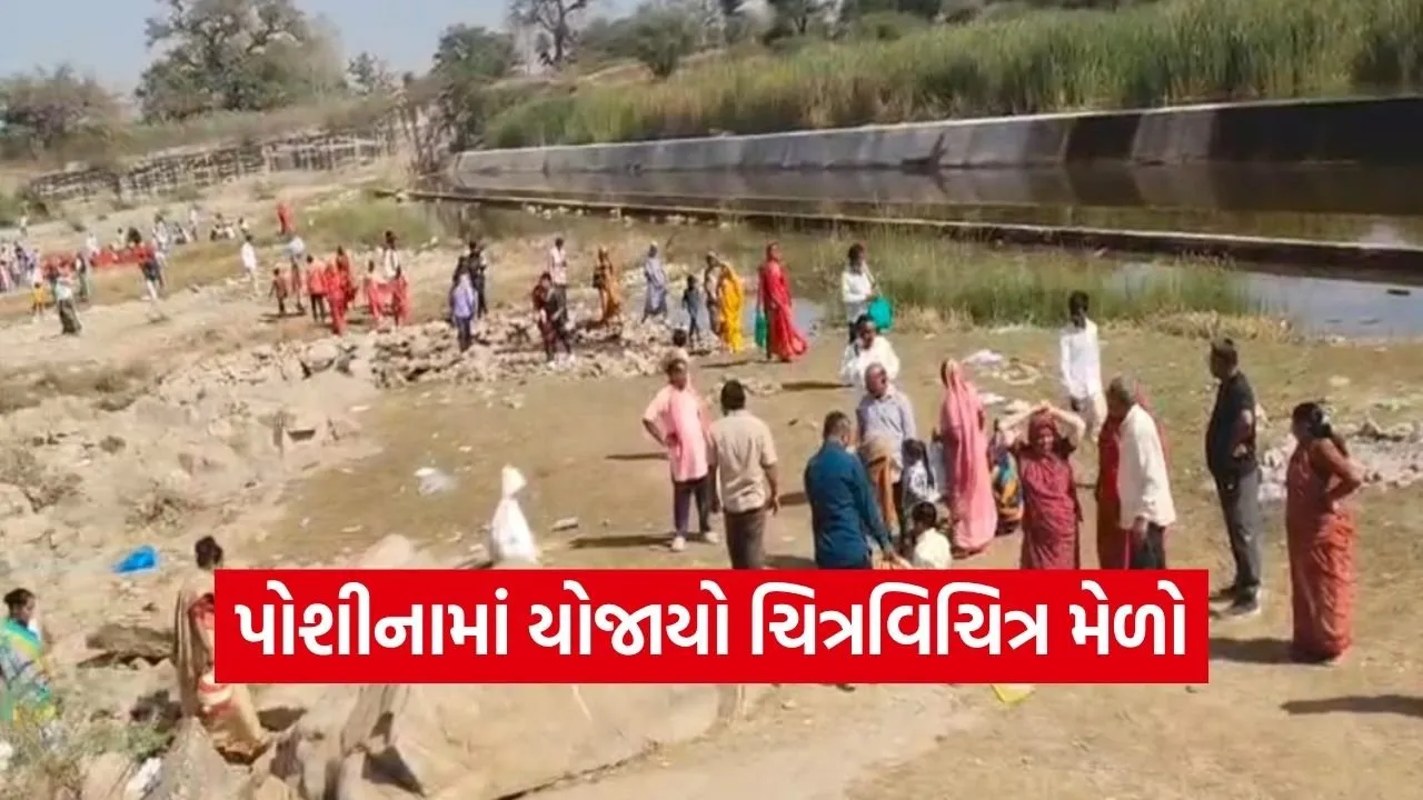 Chitri Vichitra Fair Sabarkantha 2026 1.jpg
