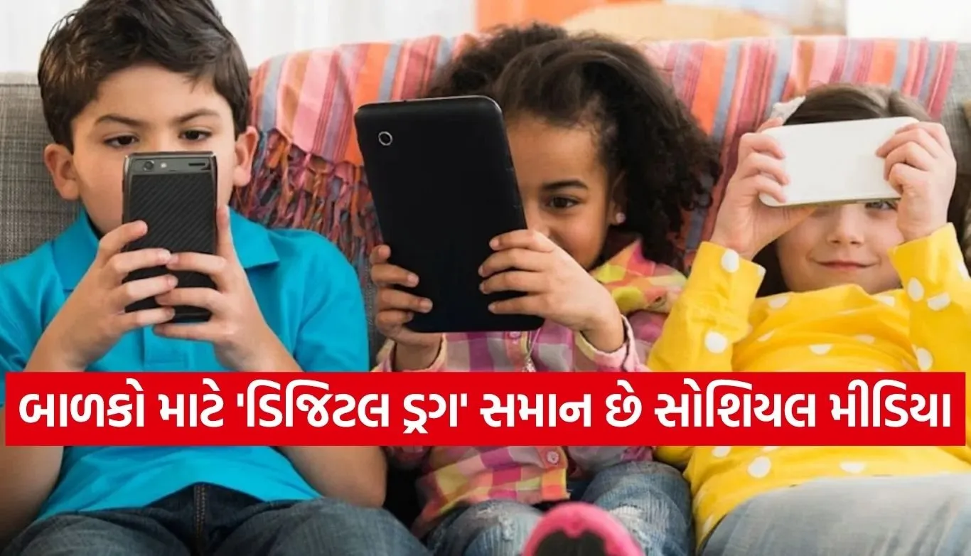 Social Media