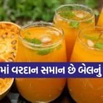 Wood Apple Drink