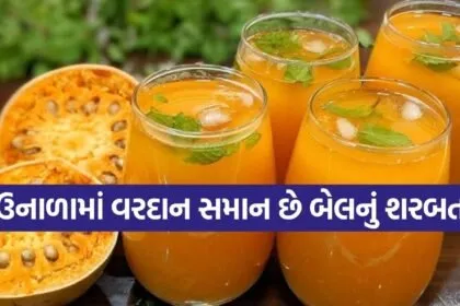 Wood Apple Drink