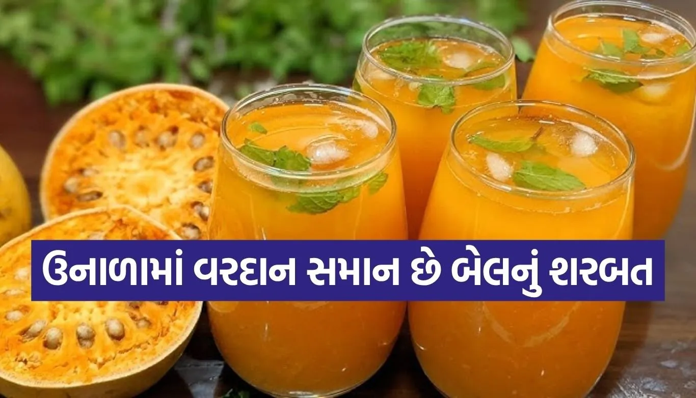 Wood Apple Drink