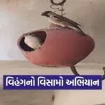 Vihang no Visamo Sparrow Conservation Gujarat 2026 1