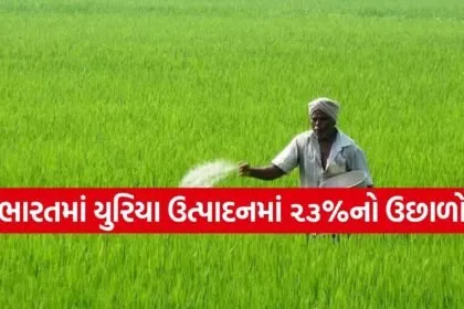 Fertilizer Supply