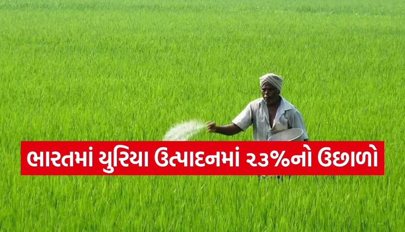 Fertilizer Supply