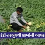 Surendranagar Progressive Farmer Watermelon Farming Success 2026
