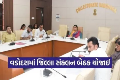 District Coordination Committee Meeting Gujarat 2026 1