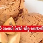 Chikoo ice cream 2003