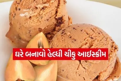Chikoo ice cream 2003