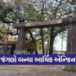 World Forest Day Green Economy India 2026 1