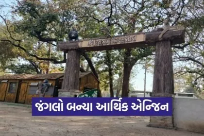 World Forest Day Green Economy India 2026 1