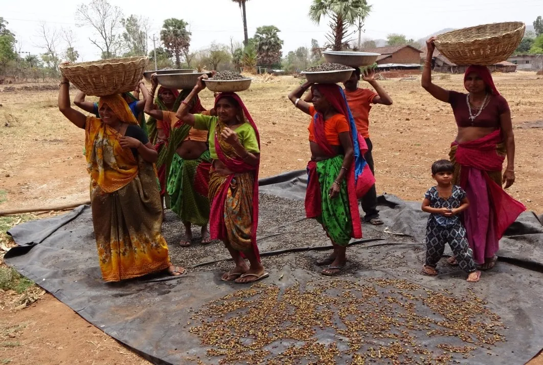 ‘ફોરેસ્ટ્સ એન્ડ ઇકોનોમીઝ’ થીમ સાથે વન સંપત્તિનું સંરક્ષણ, આદિવાસી જીવન અને અર્થતંત્રમાં જંગલોની અગત્યની ભૂમિકા 2 World Forest Day Green Economy India 2026 1.jpeg